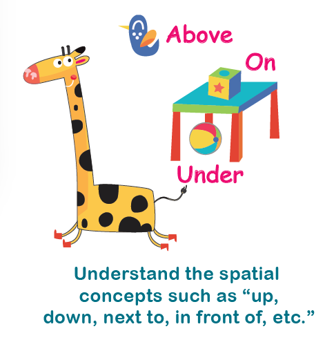 Giraffe learning spatial concepts